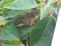 DSCN2765.JPG