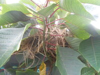 DSCN2770.JPG