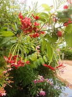DSCN2932~2.JPG