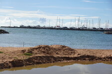 DSC05731.JPG