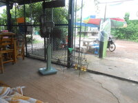 DSCN2927.JPG