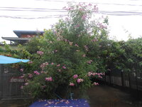 DSCN2939.JPG