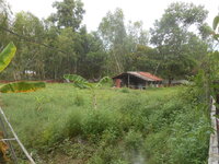 DSCN2950.JPG