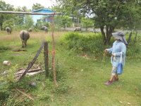 DSCN2958.JPG