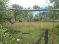 DSCN2959.JPG
