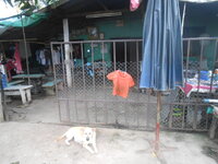 DSCN2974.JPG