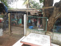DSCN2972.JPG