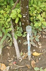 DSCN2975~3.JPG