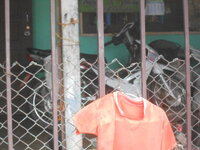 DSCN2991.JPG