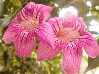 DSCN2938~3.JPG