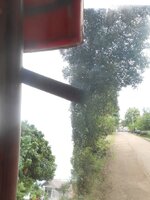 DSCN2984~4.JPG