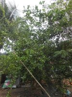 DSCN3006~2.JPG