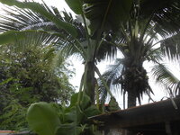 DSCN3002.JPG
