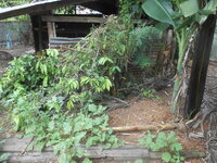 DSCN3003.JPG