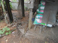 DSCN3004.JPG