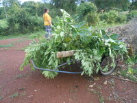 DSCN3097.JPG