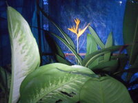 DSCN3011.JPG