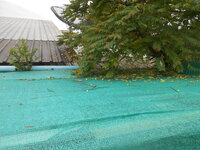 DSCN3136.JPG