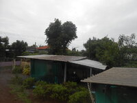 DSCN3133.JPG