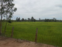 DSCN3060.JPG
