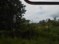 DSCN3064.JPG