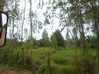 DSCN3067.JPG