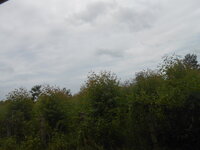 DSCN3063.JPG