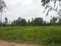DSCN3070.JPG