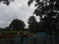 DSCN3072.JPG