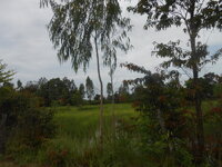 DSCN3069.JPG