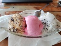 Pitini Icecream.jpg