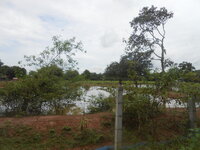 DSCN3075.JPG