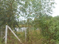 DSCN3081.JPG