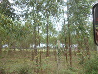 DSCN3082.JPG
