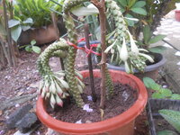 DSCN3150.JPG
