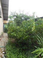 DSCN3152~2.JPG