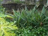 DSCN3153.JPG