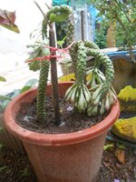 DSCN3149~2.JPG