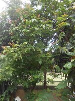 DSCN3148~2.JPG