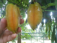 DSCN3147.JPG