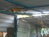 DSCN2719.JPG