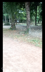 Screenshot_20250919-211603.png