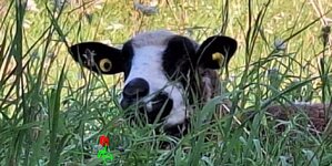 Bildschirmfoto 2025-09-23 um 19.37.37~2.jpg