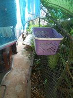 DSCN3159~2.JPG