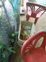 DSCN3157~2.JPG