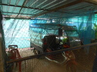 DSCN3156.JPG