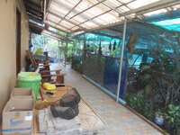 DSCN3154.JPG