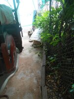 DSCN3158~2.JPG