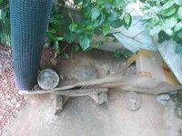 DSCN3161.JPG