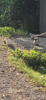 20250923_071623.jpg